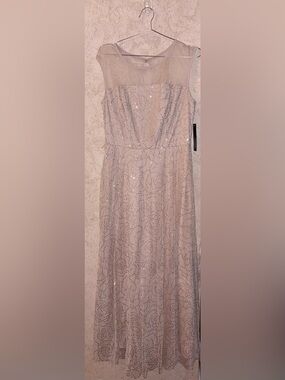 Lovely Grace Elegant Shimmer Mesh Evening Dress